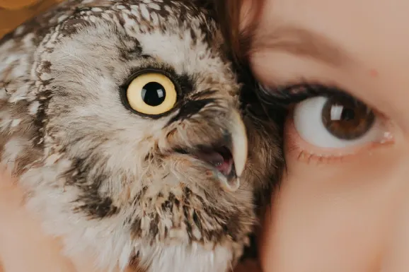 كازينو بي بيتس الدعم